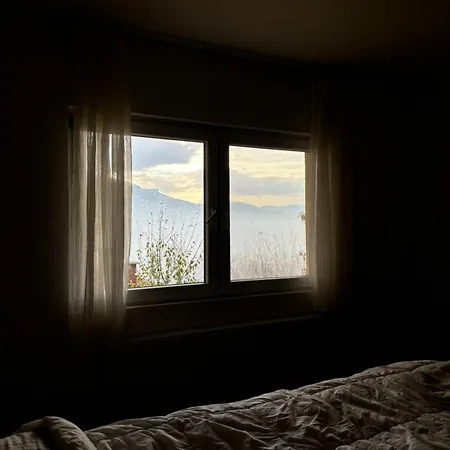 Couples Nest In 塞拉耶佛