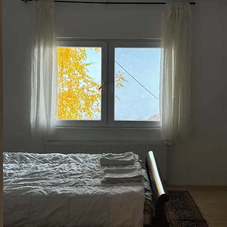 Apartment Couples Nest In